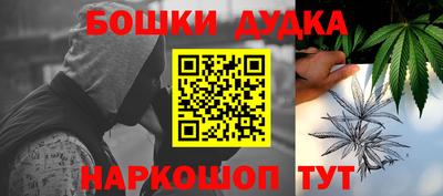 индика Будённовск