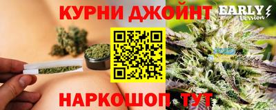 индика Будённовск