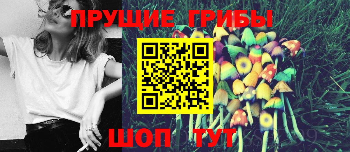 Галлюциногенные грибы Cubensis Медногорск